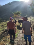 Returning to Iracambi in 2024