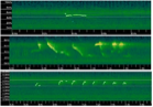 Sonograms of bird songs captured during the bioacoustics experiment